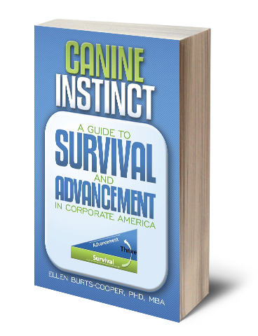 Author Book